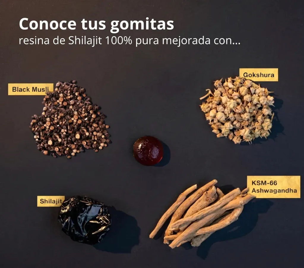 Eleveit Gold gomitas de shilajit - ingredientes