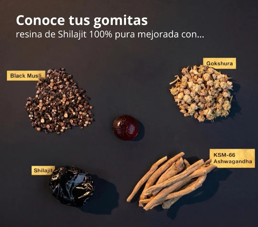 Eleveit Gold gomitas de shilajit - ingredientes